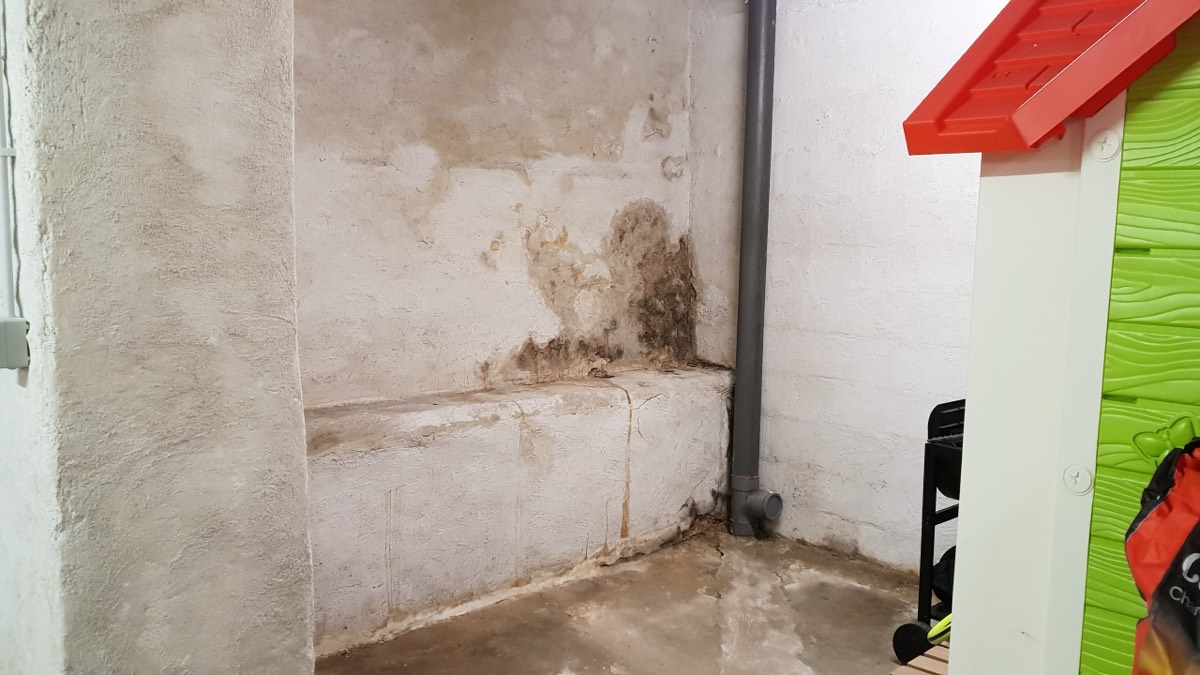 Infiltrations d'eau - Expertise humidité à Narbonne